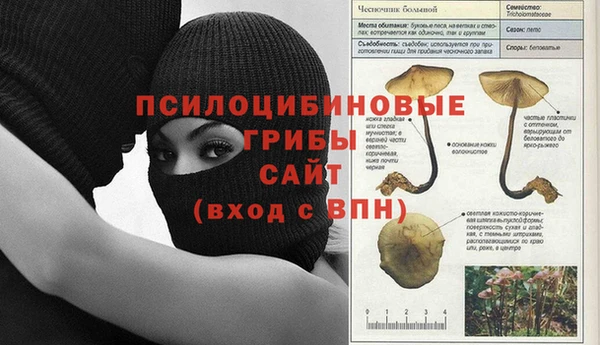 2c-b Верея