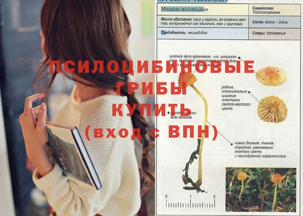 хмурый Володарск