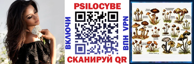 Галлюциногенные грибы MAGIC MUSHROOMS Кадников
