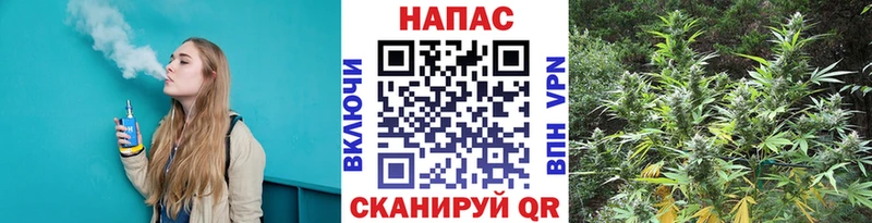 Каннабис планчик  Кадников 